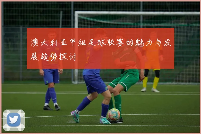 澳大利亚甲组足球联赛的魅力与发展趋势探讨