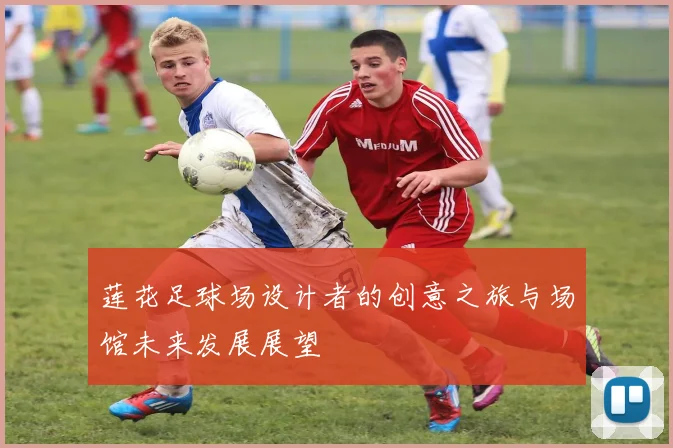 莲花足球场设计者的创意之旅与场馆未来发展展望