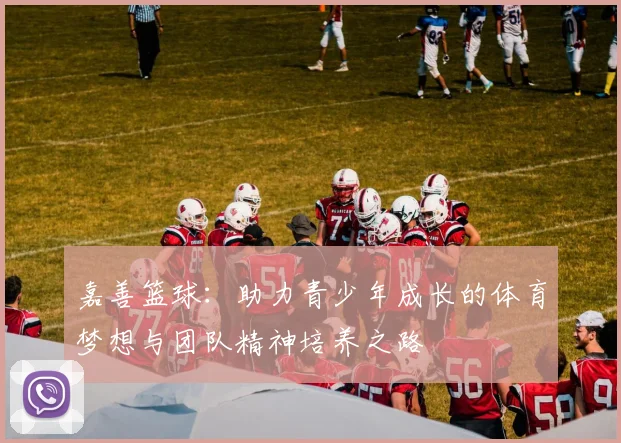 嘉善篮球：助力青少年成长的体育梦想与团队精神培养之路