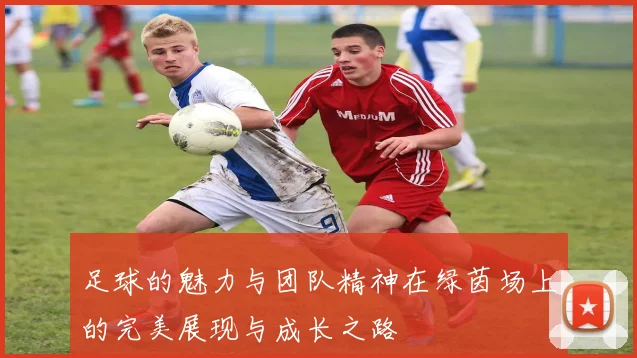 足球的魅力与团队精神在绿茵场上的完美展现与成长之路